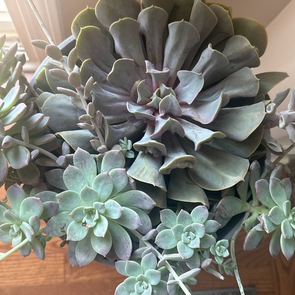 Meet your Posher, Katie - Picture 1 of 1